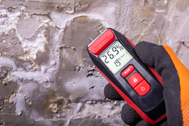 Best Bathroom Mold Remediation in Providence Village, TX
